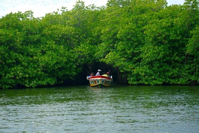 Siggi's Mono Spors - Boat Tours