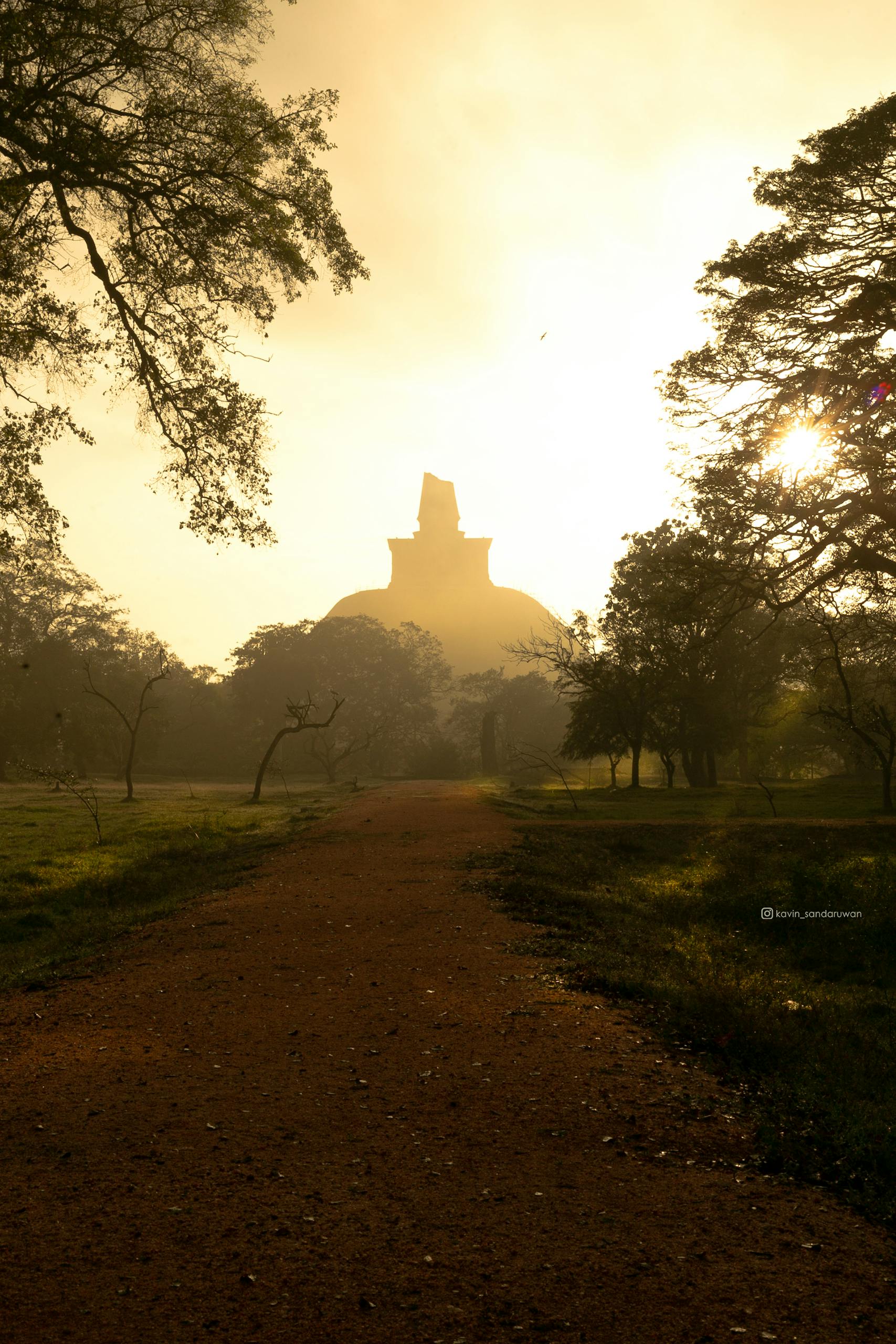 stupa-amidst-trees-in-anuradhapura-sri-lanka